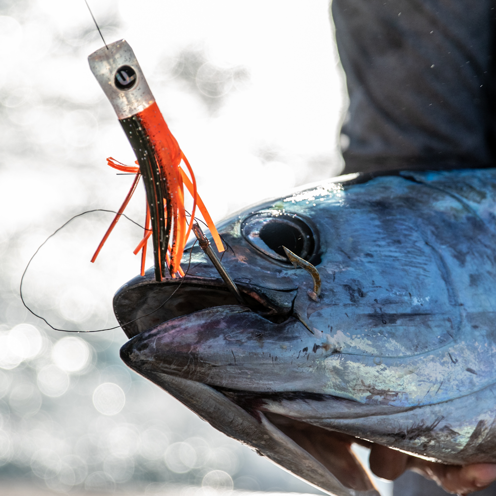 Top Tuna Trolling Lures by FATHOM OFFSHORE