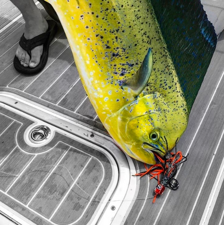 fathom offshore small trolling lures for dorado