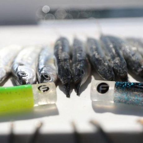 Dead Bait Rigs For Ballyhoo