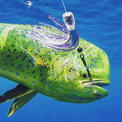 Offshore Fishing Lures & Baits