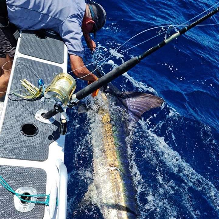 GENEMA Seawater Fishing Bait Flying Fish Lure Boat Trolling Tuna